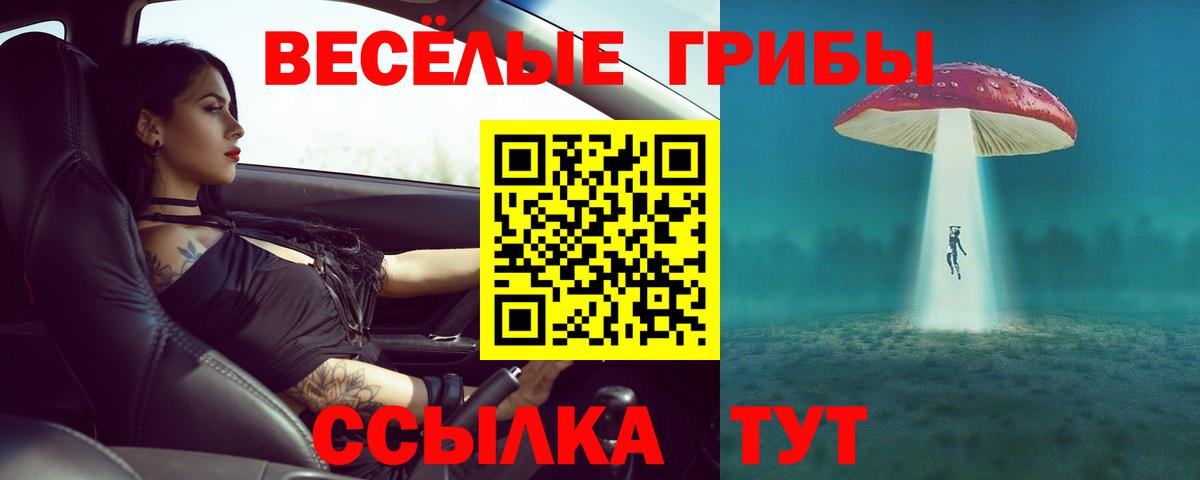 Качканар  Галлюциногенные грибы GOLDEN TEACHER  Псилоцибиновые грибы прущие грибы  Вход с VPN 